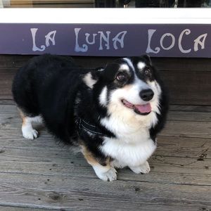 Meet your Posher, Anne